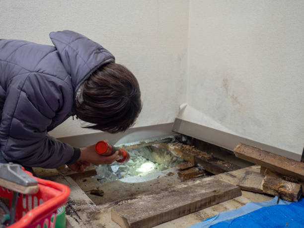 Best Real Estate Mold Inspection  in Four Bridges, OH