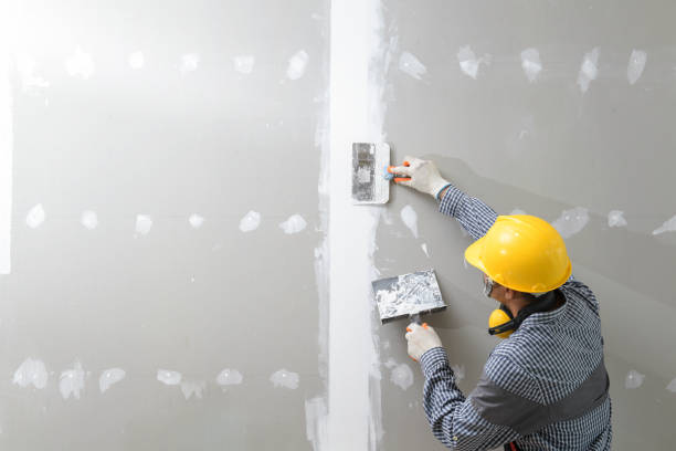 Reliable Four Bridges, OH Mold Removal Solutions