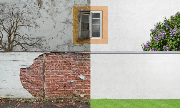 Best Commercial Mold Inspection  in Four Bridges, OH